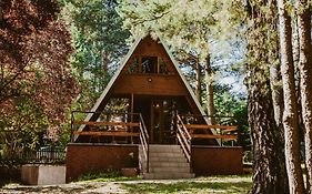Mesa Summer House